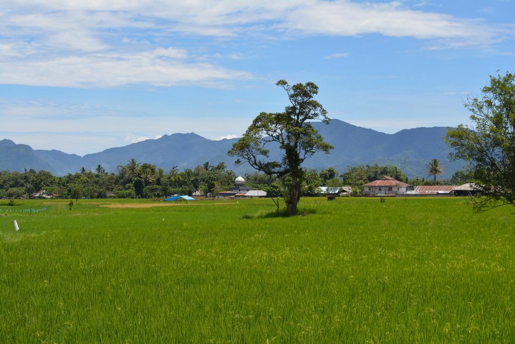 Koto Hilalang Homestay Bukittinggi Luaran gambar