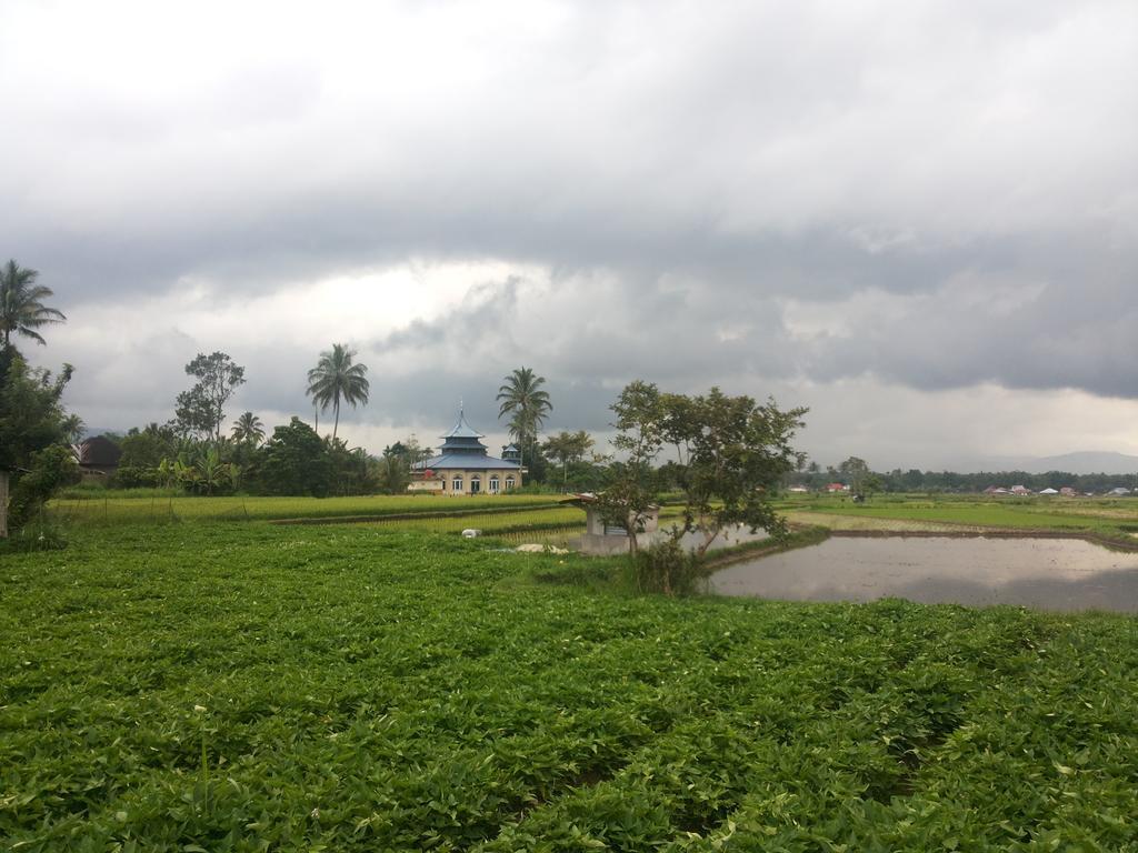 Koto Hilalang Homestay Bukittinggi Bilik gambar
